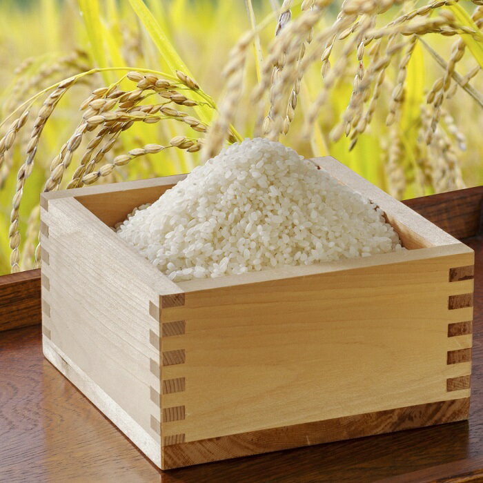 【ふるさと納税】〈令和7年産〉浦臼産 ゆめぴりか 精白米 5kg×1袋 【2026年1月下旬-8月下旬迄順次発送予定】 【全国どこでもお届け!】 米 お米 おこ...