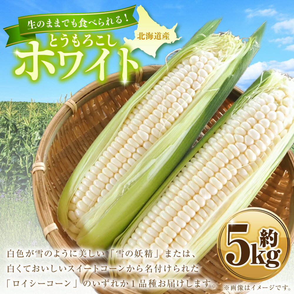 北海道浦臼町の画像2