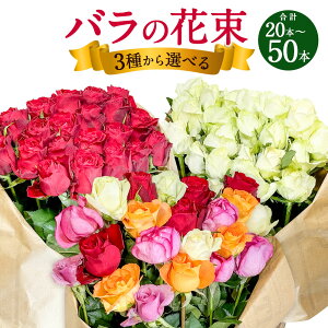 【ふるさと納税】《選べる色・本数》バラの花束 《アマダ(赤) / アドバンス(白) / 混合》《20‐30本 / 40‐50本》花 植物 バラ 薔薇 ローズ 花束 ブーケ 生花 プレゼント ギフト お祝い 記念日 誕生日 プロポーズ 北海道 浦臼町 送料無料