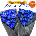【ふるさと納税】《選べる本数》ブルーローズ(花束) 5本 / 10本 花 植物 バラ 薔薇 ローズ ブルー 青 ブルーローズ 青バラ花束 ブーケ 生花 贈り物 ...