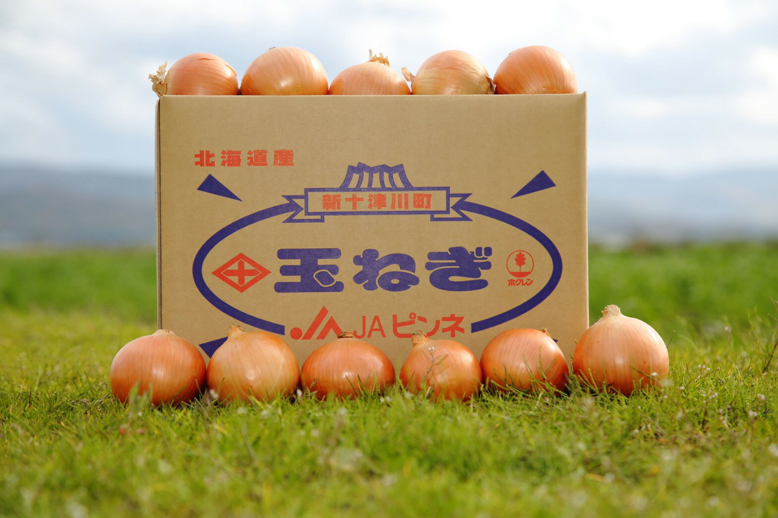 【ふるさと納税】玉ねぎ(10kg)