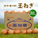 【ふるさと納税】【先行受付】 玉ねぎ Lサイズ (10kg) 【令和7年10月~12月中旬発送】 オンライン 申請 ふるさと納税 北海道 新十津川 9000 北海道 たまねぎ タマネギ 玉葱 大容量 新鮮 甘い 野菜 サラダ 新十津川町【1200101】