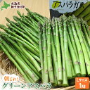 【ふるさと納税】【先行受付】 グリーンアスパラ (Lサイズ1kg)【令和8年5月中旬~6月中旬発送】 オンライン 申請 ふるさと納税 北海道 新十津川 北海道産 アスパラ 朝採り 野菜 やさい 新鮮 大容量 新十津川町【1201501】