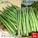 【ふるさと納税】【先行受付】 グリーンアスパラ SMサイズ 2kg (S・Mサイズ各1kg)【令和8年5月中旬~6月中旬発送】オンライン 申請 ふるさと納税 北海道 新十津川 北海道産 アスパラ 朝採り 新十津川町【1201601】