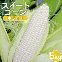 【ふるさと納税】【先行受付】 スイートコーン (ホワイト) 5kg 【令和7年8月1日頃〜15日頃発送】 オンライン 申請 ふるさと納税 北海道 新十津川 北海...