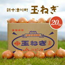 【ふるさと納税】【先行受付】玉ねぎ Lサイズ (20kg) 【令和7年10月〜12月中旬発送】 オンライン 申請 ふるさと納税 北海道 新十津川 北海道産 たま...