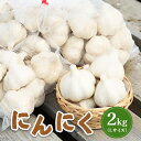 【ふるさと納税】【先行受付】にんにく 2kg (Lサイズ)【令和7年8月〜12月発送】 オンライン 申請 ふるさと納税 北海道 新十津川 北海道産 ニンニク L...
