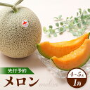 【ふるさと納税】【先行予約】 赤肉メロン1箱(4〜5玉) 【令和7年7月〜8月上旬発送】 先行予約 メロン 北海道 赤玉 セット 4玉 5玉 果物 フルーツ 赤...