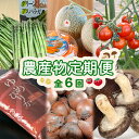 【ふるさと納税】『定期便:全6回』 農産物の定期便 オンライン 申請 ふるさと納税 北海道 新十津川 北海道産 農産物 定期便 野菜 やさい 大容量 新十津川町...