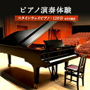 【ふるさと納税】スタインウェイピアノ 試弾券(120分) ※平日限定(午前9時〜午後9時) オンライン 申請 ふるさと納税 北海道 新十津川 ピアノ スタンウェ...
