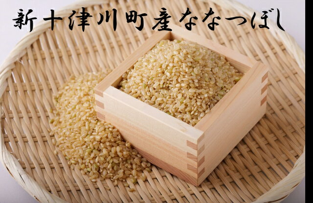 ななつぼし玄米定期便(15kg×6回) 　※偶数月に発送【11011】