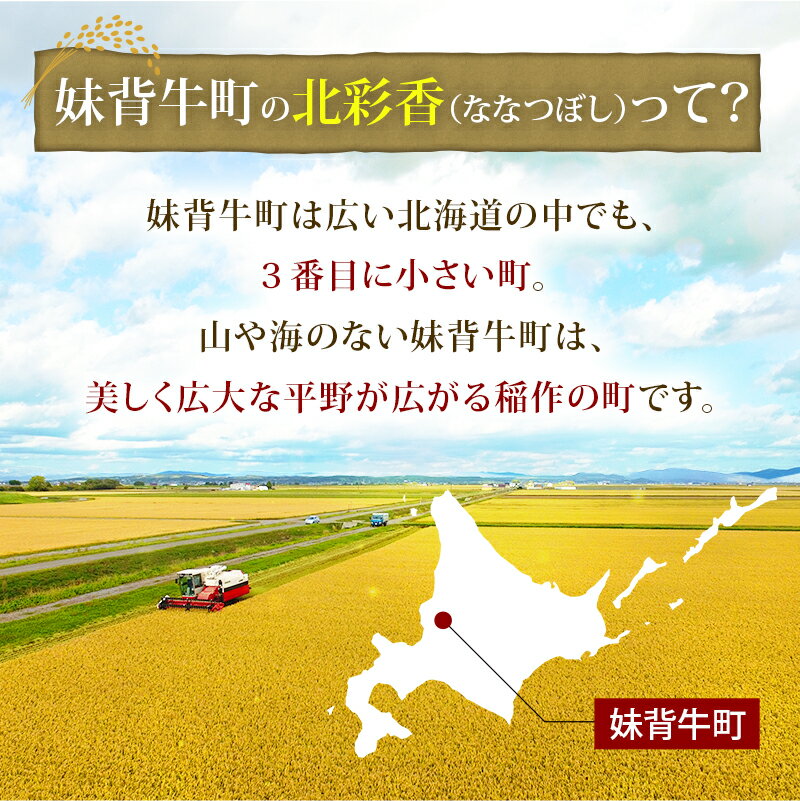 【ふるさと納税】 新米予約 お米 令和6年産 妹背牛産【プレミアム北彩香（ななつぼし）】 白米 20kg（一括）（11月発送） お米 特A 北海道 真空 ななつぼし 新米