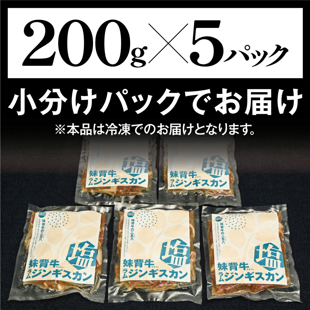 【ふるさと納税】妹背牛 ラム ジンギスカン 塩（200g×5袋） 北海道 送料無料 お肉