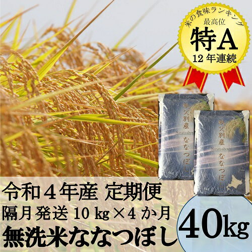 [新米予約] ふるさと納税 米 定期便 令和4年産 無洗米 ななつぼし 40kg (隔月10kg×4か月)