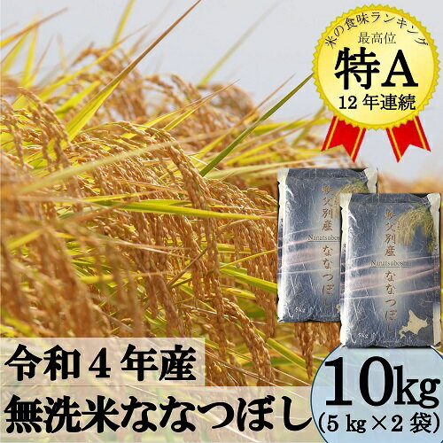 【ふるさと納税】 令和4年産 ななつぼし 10kg ふるさと納税 米 無洗米 在庫 残り わずか