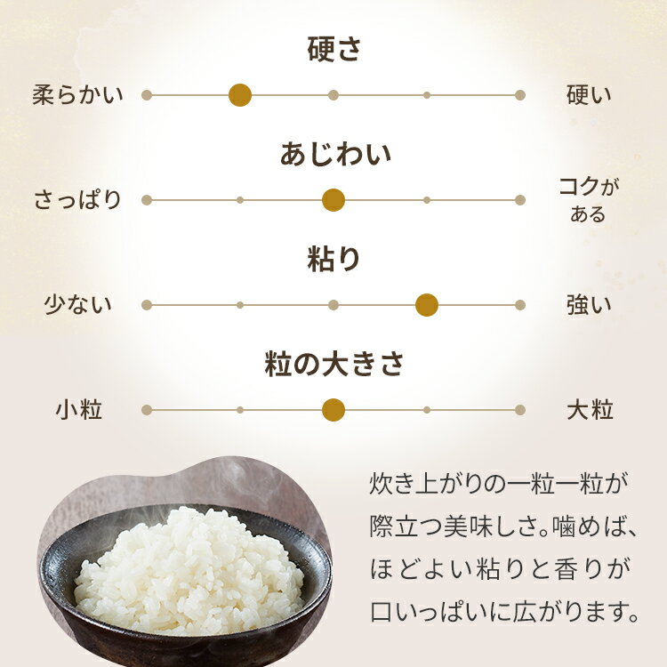 【ふるさと納税】【新米予約受付】 令和6年産無洗米ゆめぴりか10kg ふるさと納税 米 無洗米 ゆめぴりか 3