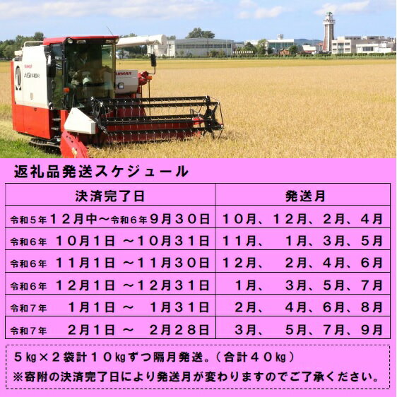 【ふるさと納税】【令和6年10月発送開始】【新米予約受付】 令和6年産 無洗米ゆめぴりか定期便 (隔月10kg×4か月) 計40kg ふるさと納税 定期便 無洗米 米 ゆめぴりか