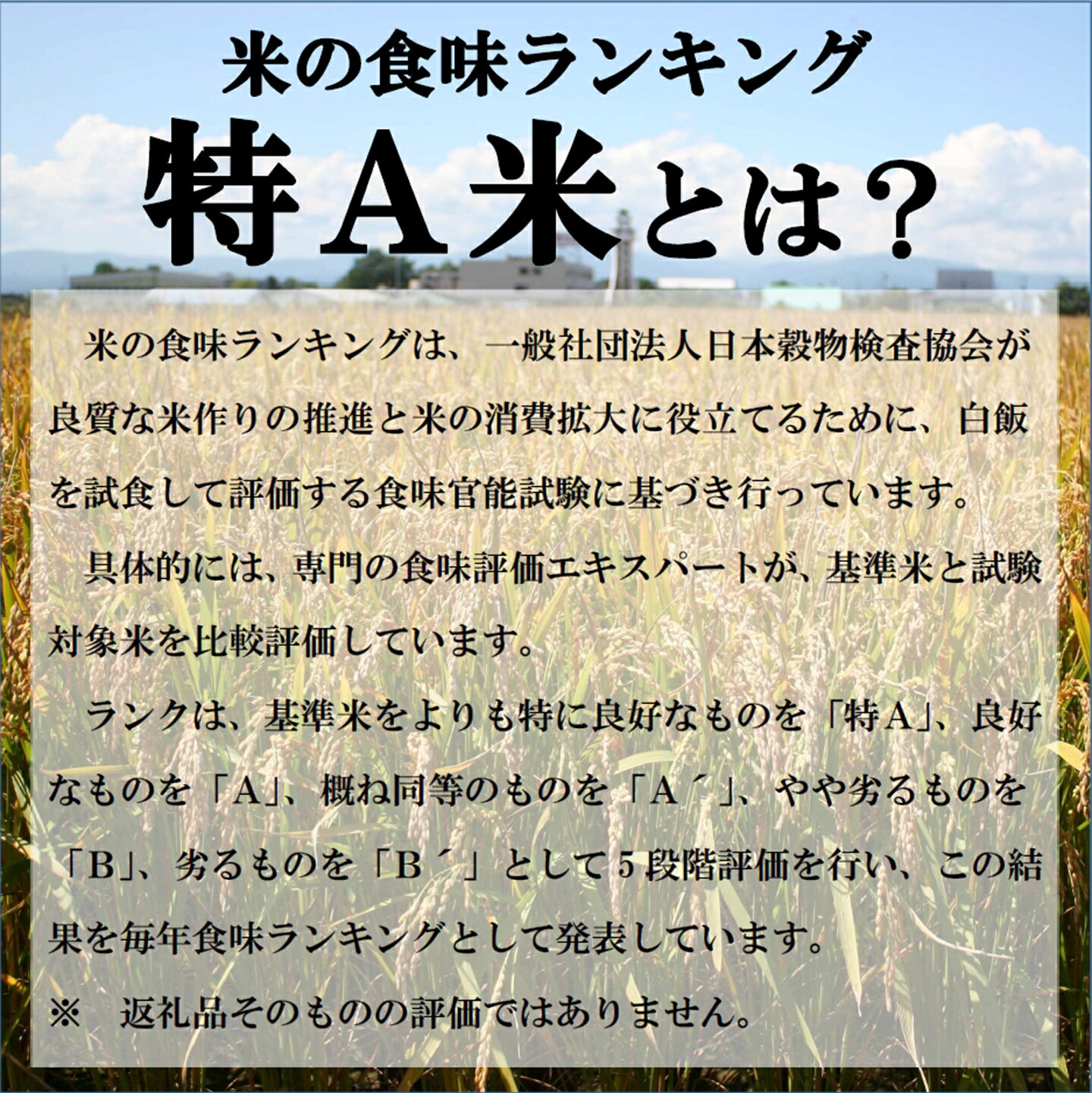 【ふるさと納税】【 先行 予約 受付 】 ふるさと納税 無洗米 米 令和8年産 無洗米ななつぼし5kg ＆ ゆめぴりか5kg ななつぼし ゆめぴりか f014346-chippubetsu-10000135 北海道秩父別町 サンプル画像3