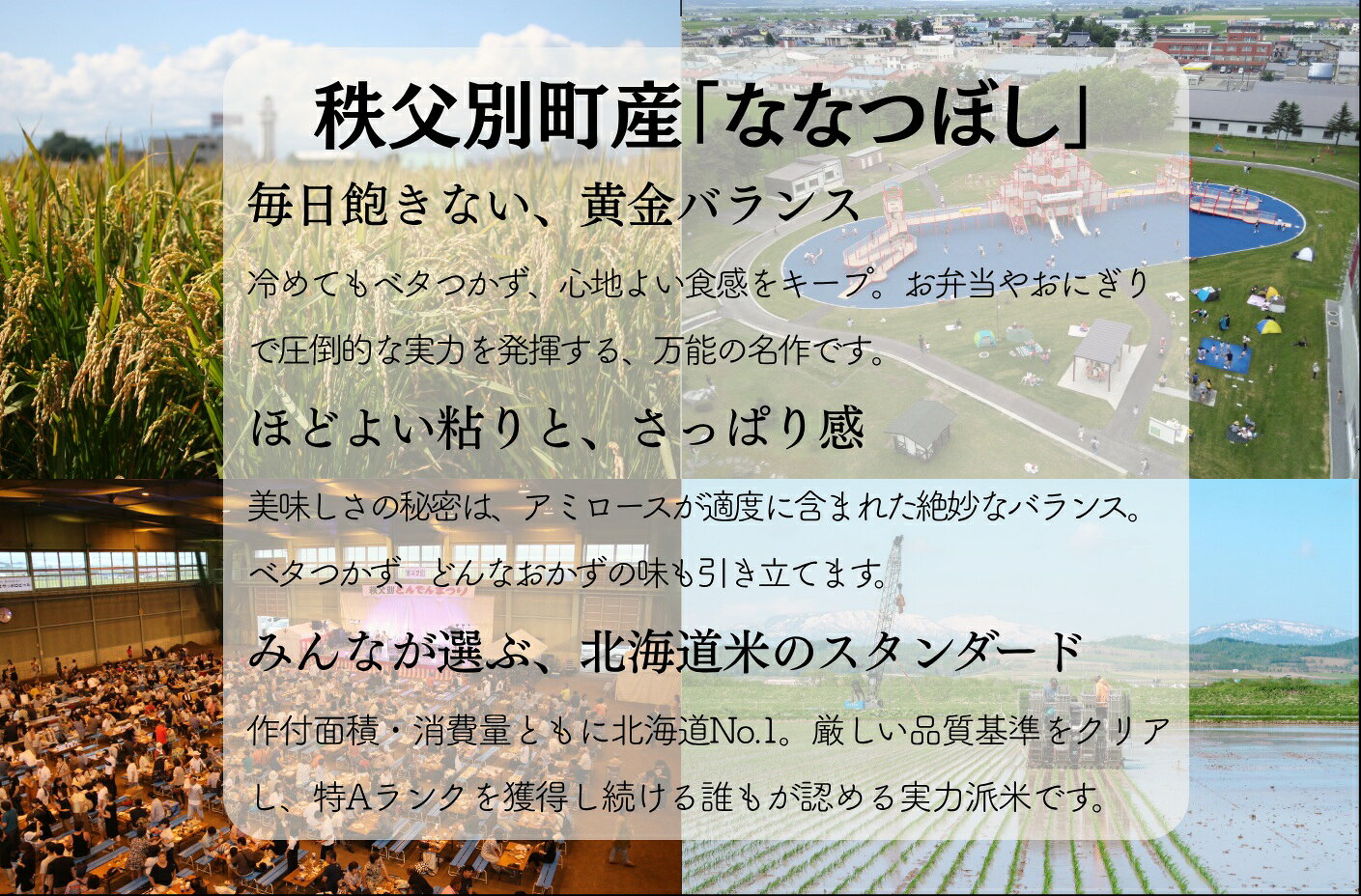 【ふるさと納税】 【新米予約受付中】 ふるさと納税 ななつぼし 令和8年産 特Aランク 特A 10kg 北海道 秩父別町 米どころ f014346-chippubetsu-10000150 北海道秩父別町 サンプル画像2