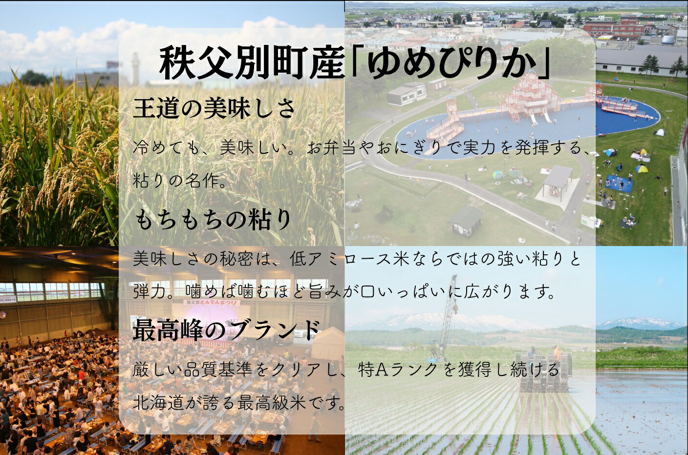 【ふるさと納税】【新米予約受付中】 令和8年産 ゆめぴりか10kg ふるさと納税 ゆめぴりか f014346-chippubetsu-10000131 北海道秩父別町 サンプル画像3