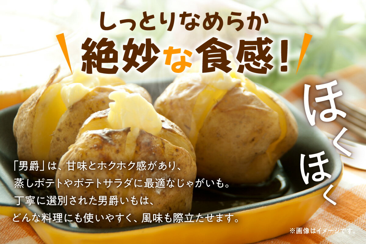 【ふるさと納税】【令和8年産先行予約】北海道産 じゃがいも 「男爵」 S～LLサイズ10kg《 9月より発送 》 じゃがいも 男爵 10kg お取り寄せ 北海道産 芋 野菜 ポテト じゃがバター 肉じゃが コロッケ ポテトサラダ ポテトチップス お取り寄せ 北海道 雨竜町