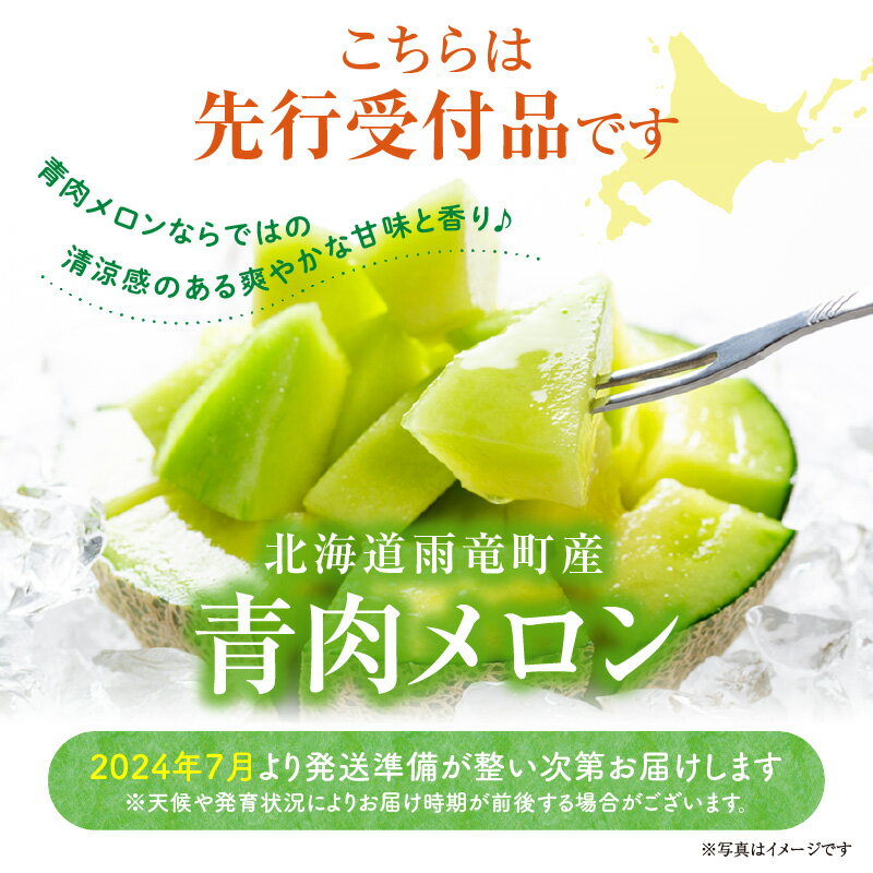 【ふるさと納税】【先行予約】令和6年産 北海道うりゅう町 暑寒（しょかん）メロン 4～5玉 8kg以上 × 1箱 青肉 果物 フルーツ めろん さっぱりした甘み お取り寄せ 北海道 雨竜町 送料無料