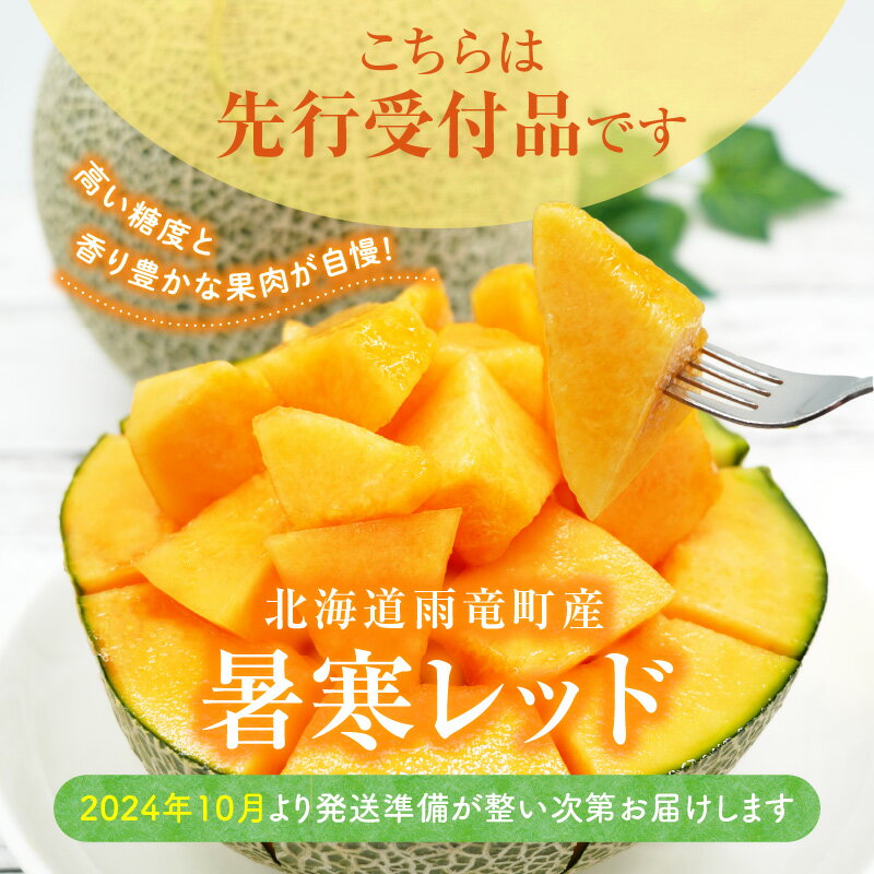 【ふるさと納税】【先行予約】令和6年産 北の大地の恵み 暑寒レッド 赤肉メロン 1玉 1.6kg以上 1箱 赤肉 果物 フルーツの王様 春 夏 秋 冬 御中元 フルーツ 生ハム パフェ ケーキ デザート ピューレ めろん さっぱりした甘み お取り寄せ 北海道 雨竜町 送料無料