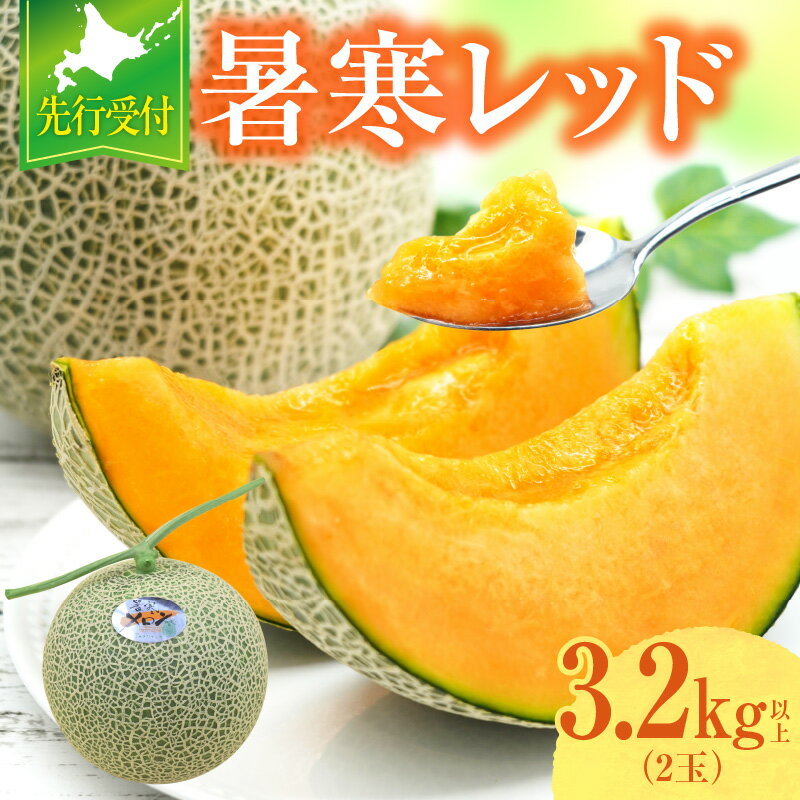 11位! 口コミ数「8件」評価「4.5」【先行予約】令和6年産 北の大地の恵み 暑寒レッド 赤肉メロン 2玉 3.2kg以上 1箱 赤肉 果物 フルーツの王様 春 夏 秋 冬 御中･･･ 