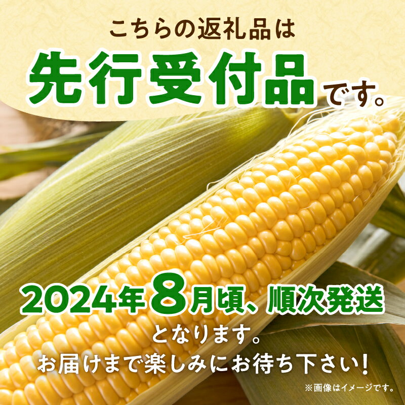 【ふるさと納税】【令和6年産先行予約】2024年発送 生でも美味しい スイートコーン「サニーショコラ」とうもろこし 野菜 コーン 産地直送 とうきび お取り寄せ BBQ バーベキュー キャンプ 甘い ソロキャン コーンマヨ コーンスープ 北海道 雨竜町 送料無料