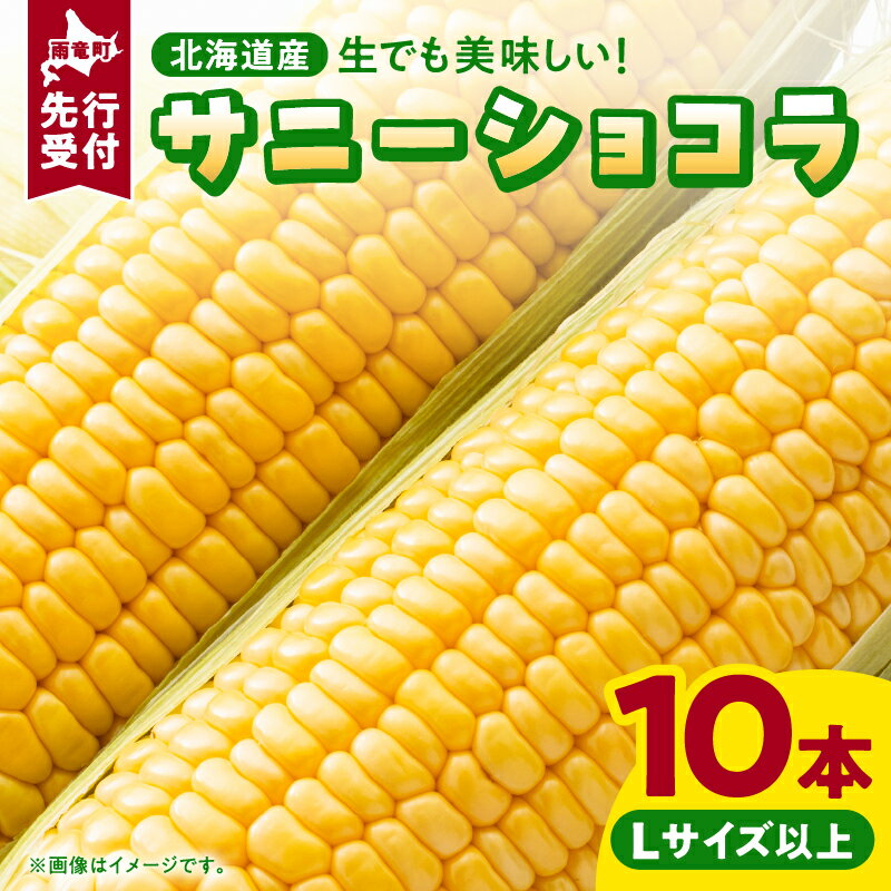 【ふるさと納税】【令和6年産先行予約】2024年発送 生でも美味しい スイートコーン「サニーショコラ」...