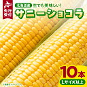 【ふるさと納税】【令和6年産先行予約】2024年発送 生でも美味しい スイートコ