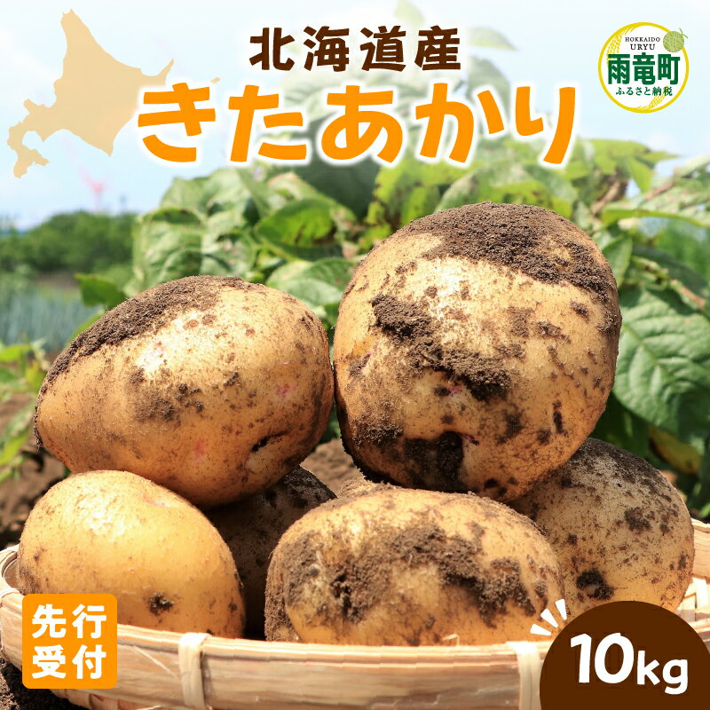 【令和6年産先行予約】北海道産 じゃがいも 「きたあかり」 S～LLサイズ10kg《9月より発送》 じゃがいも きたあかり 10kg お取り寄せ 北海道産 芋 野菜 ポテト じゃがバター 肉じゃが コロッケ ポテトサラダ ポテトチップス お取り寄せ 北海道 雨竜町