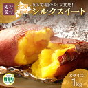 【ふるさと納税】【先行予約】【数量限定】あま〜い畑スイーツ!北海道雨竜町産 さつまいも 「シルクスイート」 Sサイズ 1kg 芋 お取り寄せ 野菜 BBQ キャ...