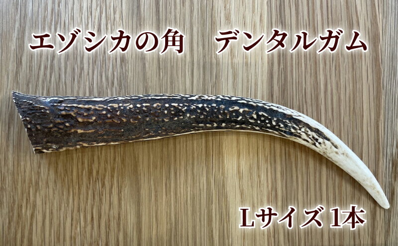 【ふるさと納税】 【数量限定】 エゾシカの角デンタルガムLサイズ （ 大型犬向け ）