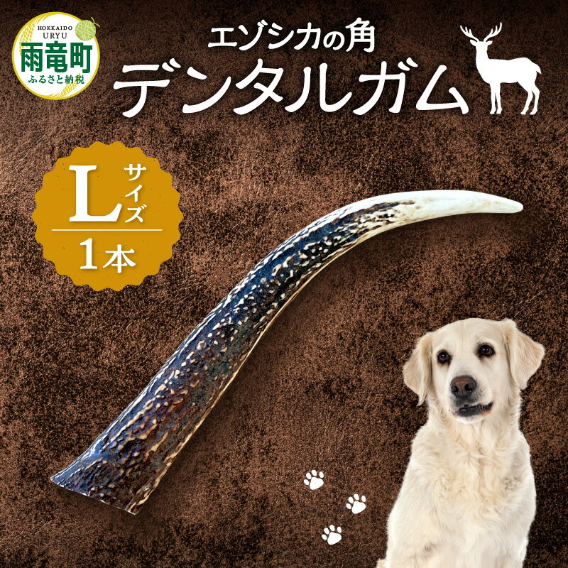 【ふるさと納税】 【数量限定】 エゾシカの角デンタルガムLサイズ （ 大型犬向け ）天然のガム 歯磨き粉 歯垢 歯石 除去 口臭予防 カルシウム リン ミネラル 豊富 健康維持 ストレス解消 野生の香り 噛みごたえ 北海道 雨竜町