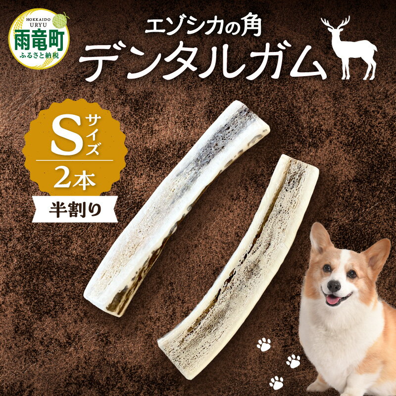 [数量限定] エゾシカの角 デンタルガム Sサイズ 半割2本