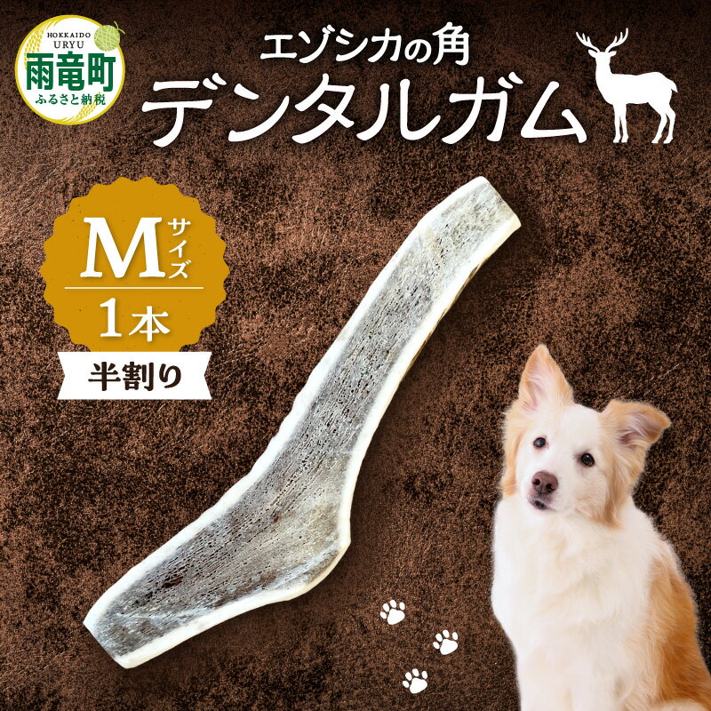 【ふるさと納税】【数量限定】エゾシカの角 デンタルガム Mサイズ 半割1本（中型犬向け）天然のガム 歯磨き粉 歯垢 歯石 除去 口臭予防 カルシウム リン ミネラル 豊富 健康維持 ストレス解消 野生の香り 噛みごたえ 北海道 雨竜町