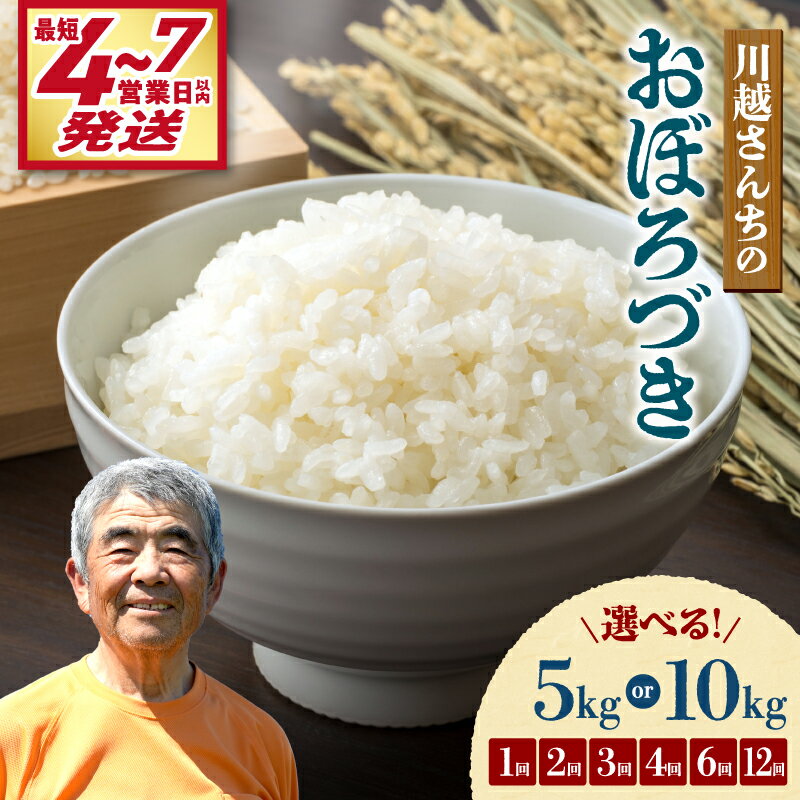 【ふるさと納税】＼ 最短4営業日以内発送～！ ／ 令和7年産 川越さんちのおぼろづき【 選べる！5kg or 10kg / 1回 ・ 2回 ・ 3回 ・ 4..