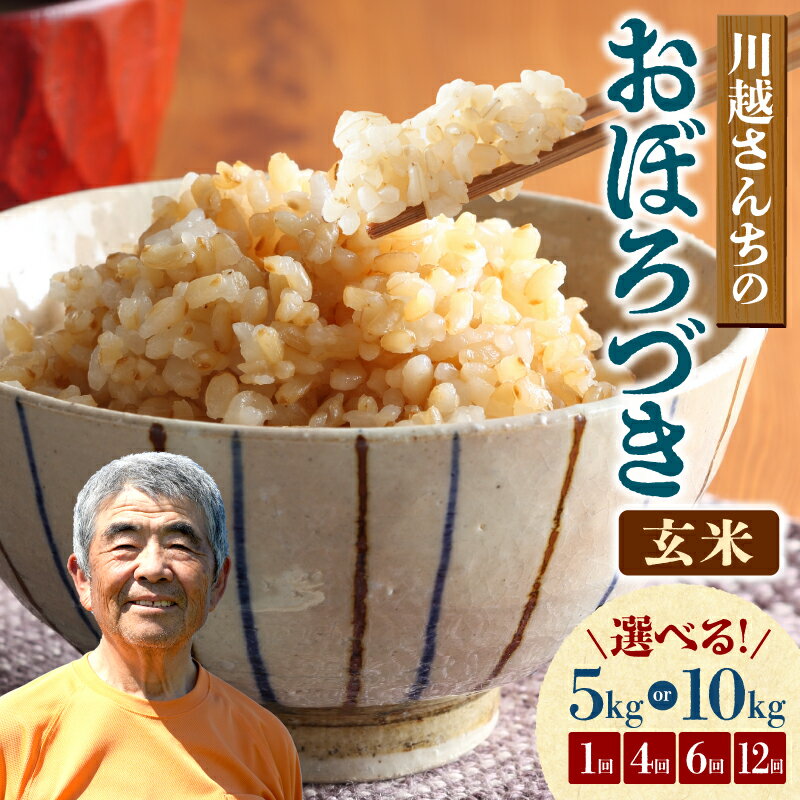 【ふるさと納税】令和7年産 川越さんちのおぼろづき 玄米【 選べる！5kg or 10kg / 1回 ・ 4回 ・ 6回...