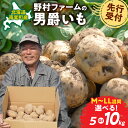 【ふるさと納税】【先行予約】北海道産 じゃがいも 男爵 5kg 10kg 甘くておいしい 甘いじゃがいも ホクホク 先行受付 秋野菜 サイズ混同 季節野菜 直送 じゃがバター マッシュポテト コロッケ フライドポテト ポテトサラダ 北海道 雨竜町 送料無料