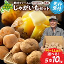 【ふるさと納税】【先行予約】北海道産 じゃがいも食べ比べセット 「きたあかり・男爵」 5kg 10kg ジャガイモ 栗じゃが ホクホク 甘いじゃがいも サイズ混同 煮崩れしやすい 秋野菜 季節野菜 直送農場 なめらかな口当たり ジャガイモ 芋 いも 北海道 雨竜町 送料無料