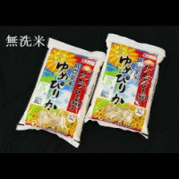 【令和2年産】【ふるさと納税】 1601 無洗米ゆめぴりか5kg×2袋
