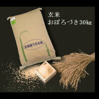 玄米おぼろづき30kg×1袋
