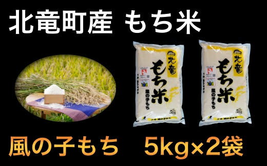 ふるさと納税【令和4年産】風の子もちもち米10kg低農薬米北海道北竜町産