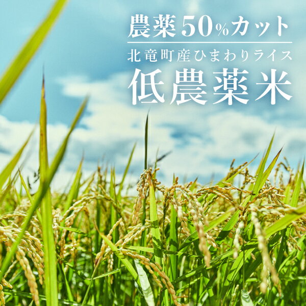 【ふるさと納税】【令和5年産】ゆめぴりか 5kg 低農薬米 北海道 北竜町産 3