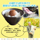 北海道北竜町の画像2