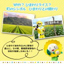 北海道北竜町の画像3