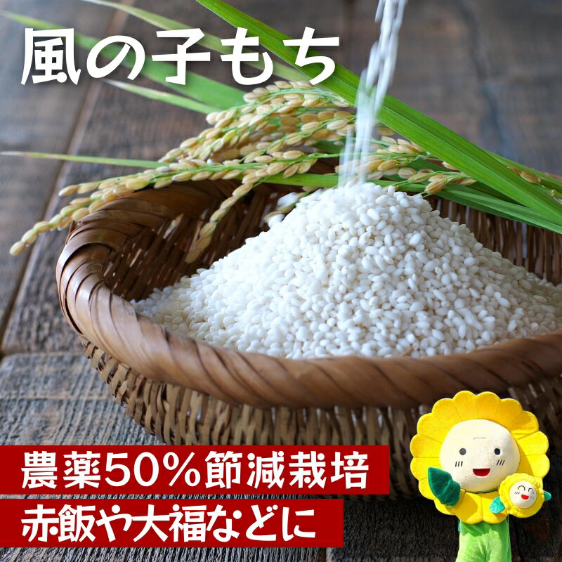 風の子もち もち米 新米 ※11月〜順次発送 //rice