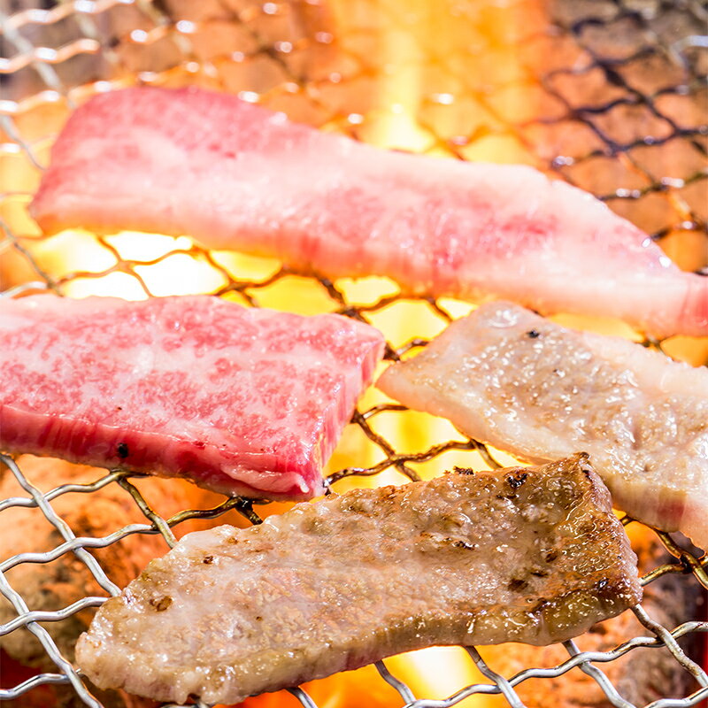 【ふるさと納税】幻の沼田黒毛和牛 A4ランク 特上カルビ 500g カルビ 和牛 牛肉 肉 焼肉 バーベキュー BBQ 国産 冷凍 北海道 沼田町 送料無料 n-0273
