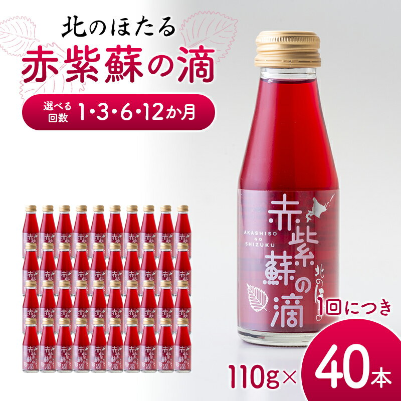＼選べる回数/ 赤紫蘇の滴110g×40本 1回 定期便 3か月 6か月 12か月 赤紫蘇 紫蘇ジュース しそ しそドリンク 北海道産 健康ドリンク しそジュース 赤しそ クエン酸 健康 美容 健康飲料 無添加風味 北のほたる 沼田町 北海道 n-0212var